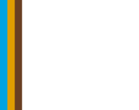 Derbyshire Cricket Foundation Footer Logo 1